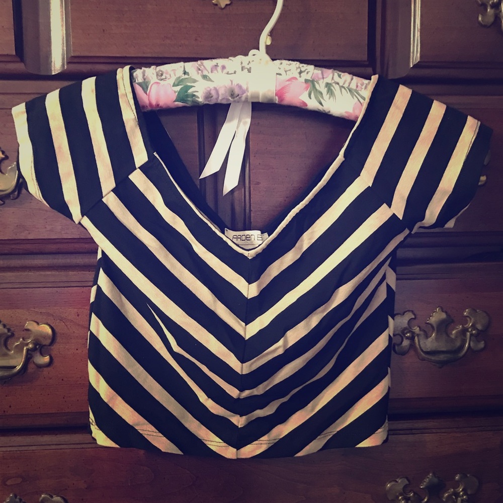 Arden B Stripe Crop Top XS